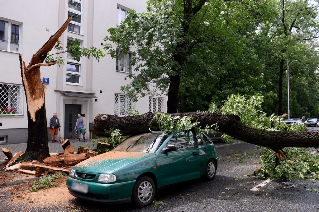 
Ilustratīvs attēls
