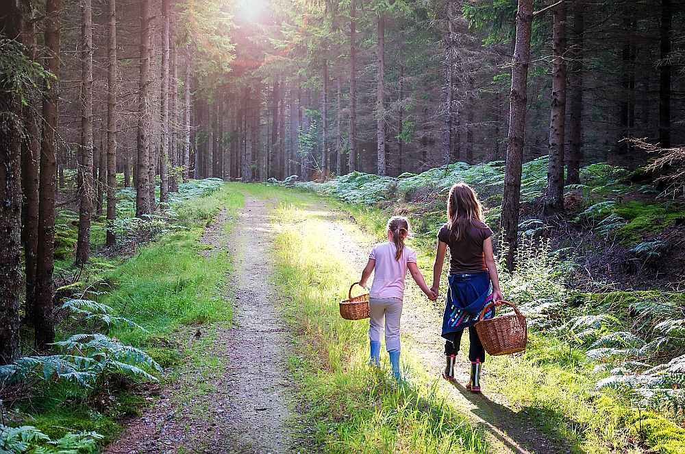 
Ilustratīvs attēls
