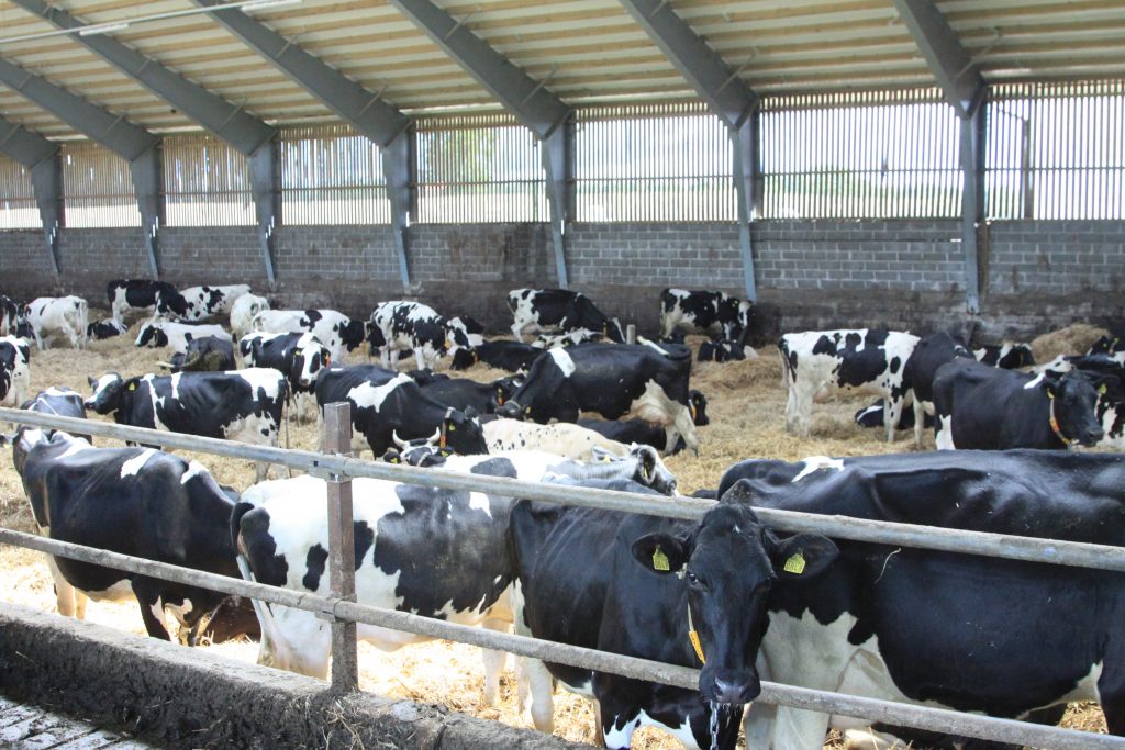 
Ilustratīvs attēls.
