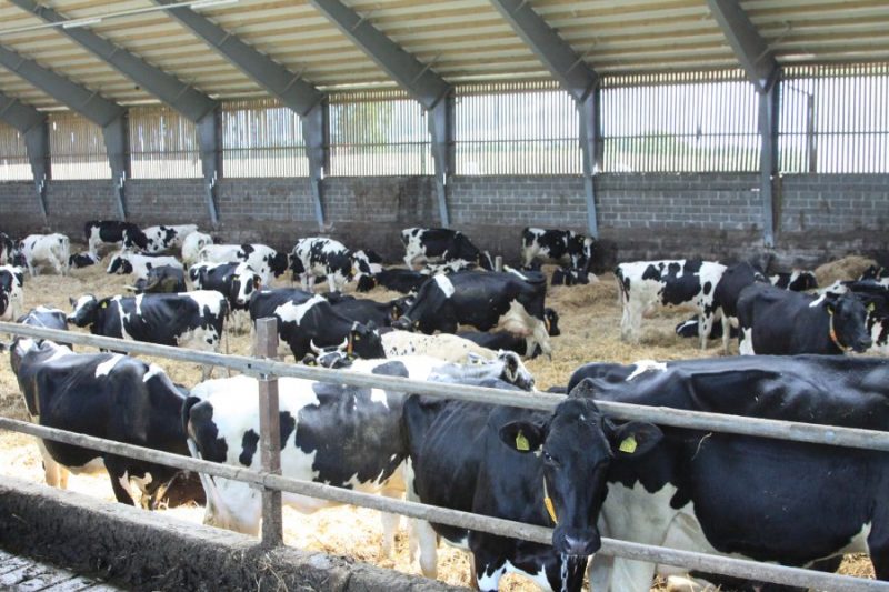 
Ilustratīvs attēls
