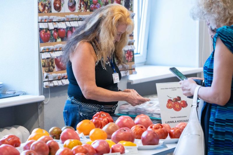 
Izstāde “Tomātu parāde 2020” Latvijas Dabas muzejā.
