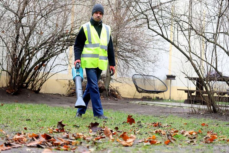 Rudens lapu novākšanas noteikumi vairs nebūs tik strikti, daudzdzīvokļu māju iedzīvotāji paši varēs lemt, vai lapas aizvest vai atstāt guļam zālājā.