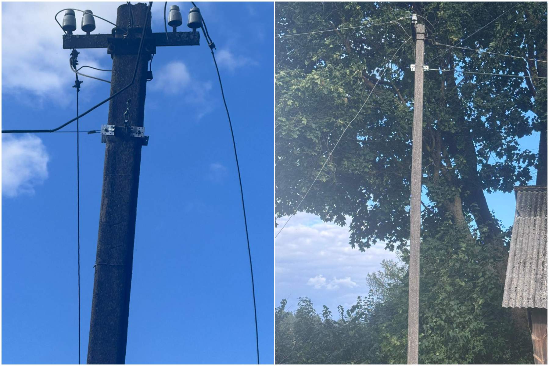 El Municipio De Jēkabpils Llora La Pérdida De Su Perro, Que Murió Tras Contactar Con Cables Eléctricos Caídos