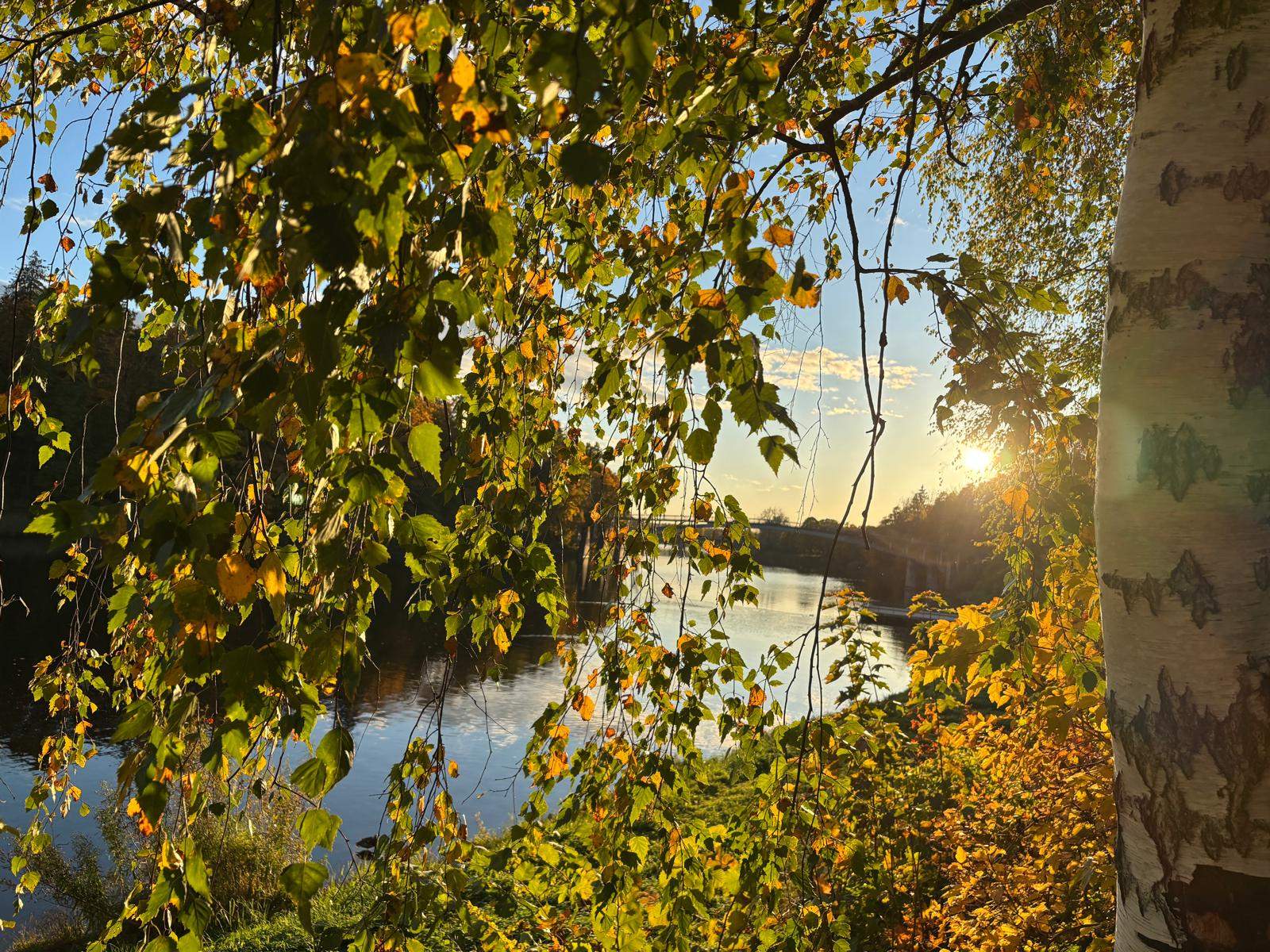 Meteorological Autumn Provisionally Begins in Latvia