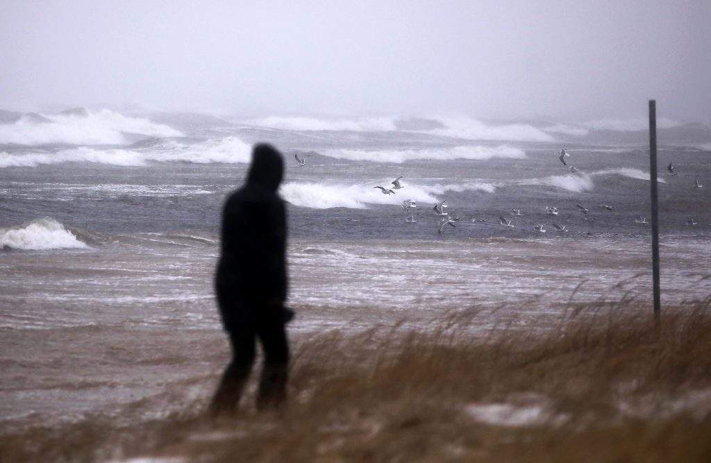 
Foto: Paula Čurkste/LETA
