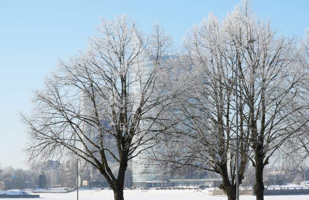 
Foto: Evija Trifanova/LETA
